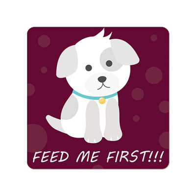 Fridge Magnet Square - Feed Me